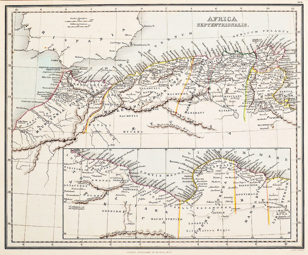 Africa Septentrionalis - Antique Map circa 1850