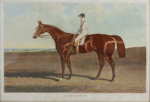 Aquatint of 'Harkaway' Winner of the Gold Cup at Goodwood 1838/9