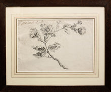 Load image into Gallery viewer, Brooch Design - Pencil Brush and Ink 18th Century
