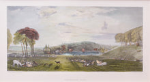 Load image into Gallery viewer, Petworth Park - Antique Steel Engraving circa 1850
