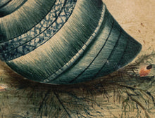 Load image into Gallery viewer, Natural Blue Salt Water Sea Snail Shell Watercolour circa 1820&#39;s
