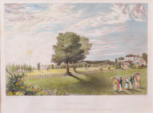 Load image into Gallery viewer, Sennicots - Antique Steel Engraving circa 1836
