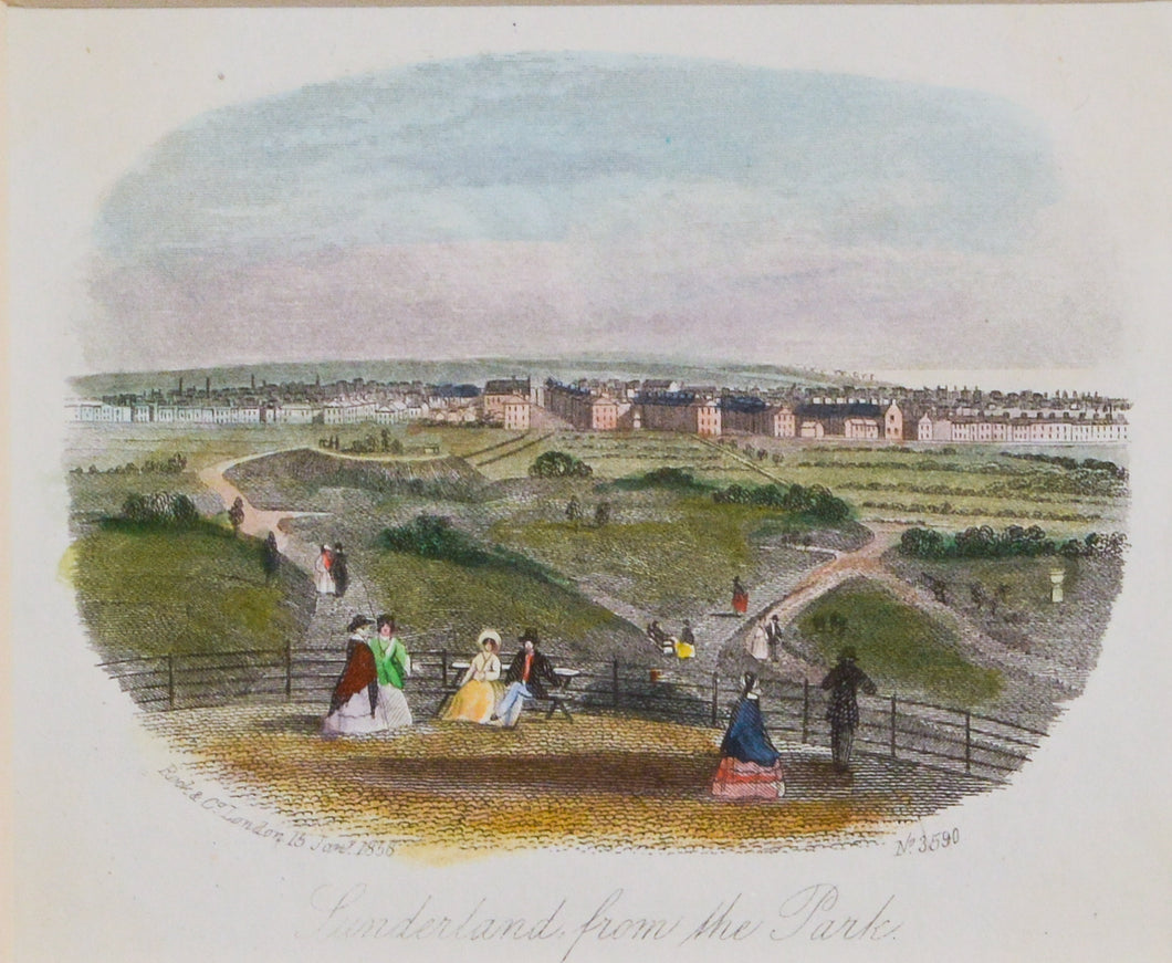 Sunderland from the Park - Antique Steel Engraving circa 1858